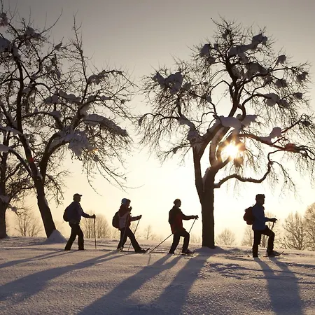 Apartment Alpenliebe